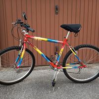 bicicletta uomo 26"