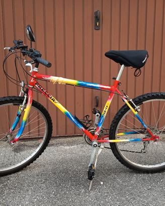 bicicletta uomo 26"