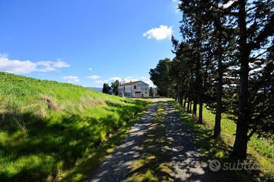 Casale da ristrutturare con vista panoramica -...