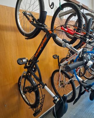 bicicletta pieghevole