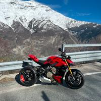 Dicati streetfighter v4s 2024