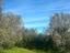 Immagine 10
