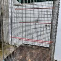 Voliera - gabbia per canarini pappagalli