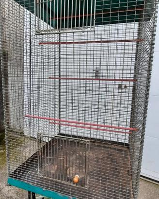 Voliera - gabbia per canarini pappagalli