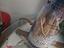 Immagine 5