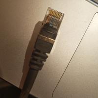 Cavo Ethernet Belkin Cat 5e 5m