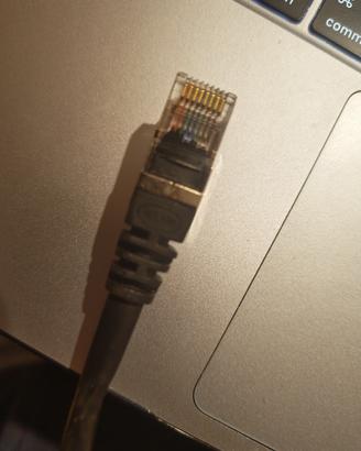 Cavo Ethernet Belkin Cat 5e 5m