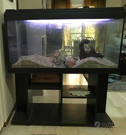 Acquario completo con supporto