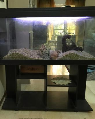 Acquario completo con supporto