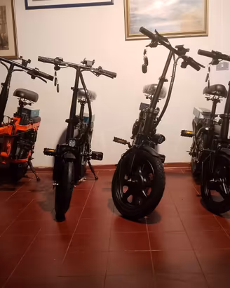 bici elettrica 