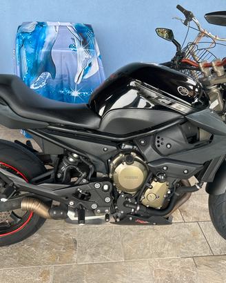 Yamaha XJ6 neopatentati depotenziata