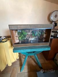 Terraio per tartarughe