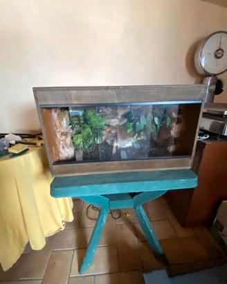 Terraio per tartarughe