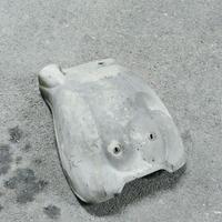 Carena motore Aprilia Pegaso paramotore