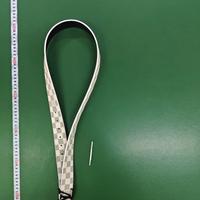 Cintura louis vuitton