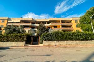 Appartamento con terrazzo, doppio giardino e box