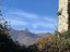 Immagine 11