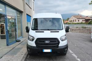 Ford Transit 310 2.0TDCi EcoBlue 130CV PM-TM Furgo
