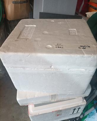 Cassa in polistirolo con coperchio