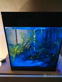 acquario askoll pure led M
