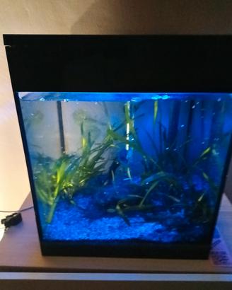 acquario askoll pure led M