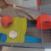 gabbietta per criceti 