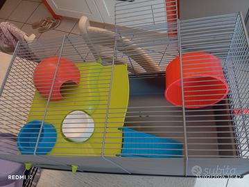 gabbietta per criceti 