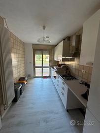 Cucina Lineare (4.40m) SGOMBERO