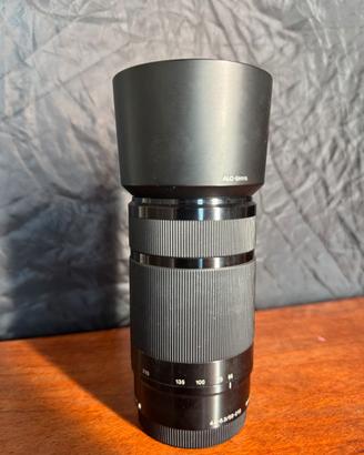 Sony E 55-210mm OSS f4.5-6.3 stabilizzato