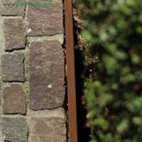 BORDURA AD INCASTRO CON BORDO LARGO IN CORTEN