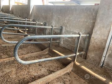 Bandiere per Cuccette  bovine