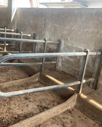 Bandiere per Cuccette  bovine