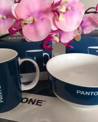 NUOVO set colazione Pantone, tazza, ciotola, tovag