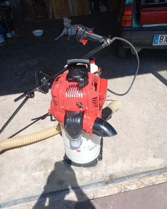 Cifarelli v1200