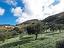 Immagine 14