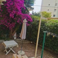 Inverno primavera con giardino