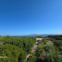 Villa con giardino Stintino fronte Asinara