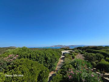 Villa con giardino Stintino fronte Asinara
