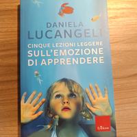 Cinque lezioni leggere sull'emozione di apprendere