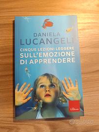 Cinque lezioni leggere sull'emozione di apprendere