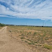 Terreni PARZIALMENTE A REDDITO