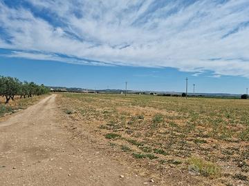 Terreni PARZIALMENTE A REDDITO