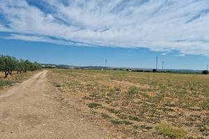 Terreni PARZIALMENTE A REDDITO