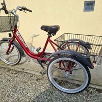 Bicicletta 3 ruote Sempion