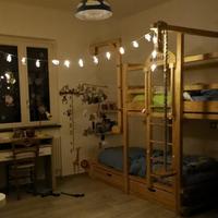 Cameretta giostra woodland