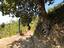 Immagine 14