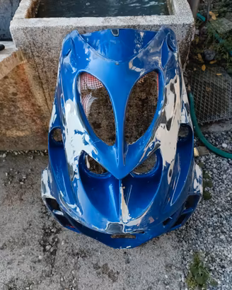 preparazione carene e motori
