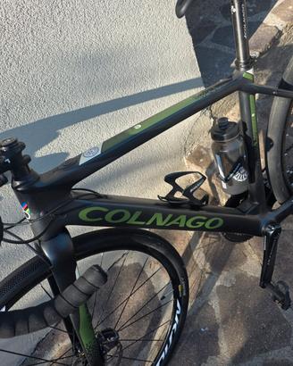 colnago egrv