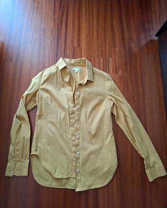 camicia cotone