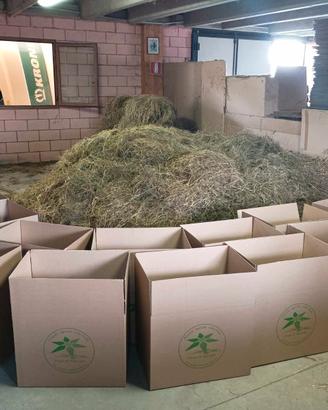 fieno per conigli, roditori ,pacciamatura
